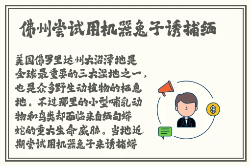 午夜dj在线观看免费高清在线